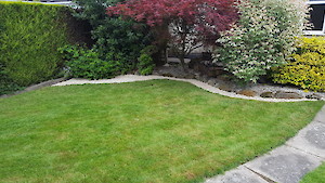 Peter's Gardening and Fencing Service Gardening