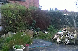 Pete's Fence Garden Fence Before Example 2