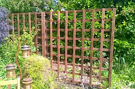 Trellis Fencing 5