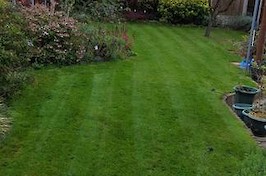 Fencing Nottingham Timeline 17
