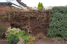 Fencing Nottingham Timeline 42