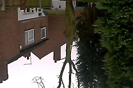 Gardening  Nottingham Tree and Hedge Work 2