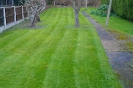 Gardening Nottingham Garden 12