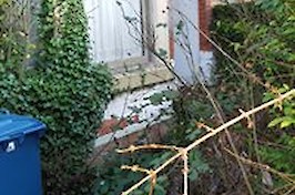 Gardening Nottingham Garden 4