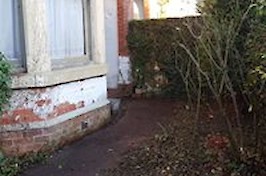 Gardening Nottingham Garden 5