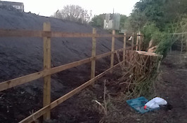 Fencing Nottingham Post & Rail Fence Example 2