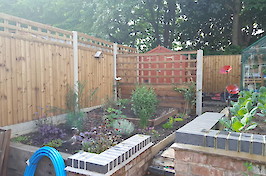 Fencing Nottingham Fence & Trellis Example 2